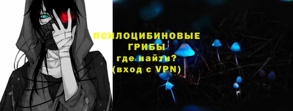 эйфоретик Белокуриха